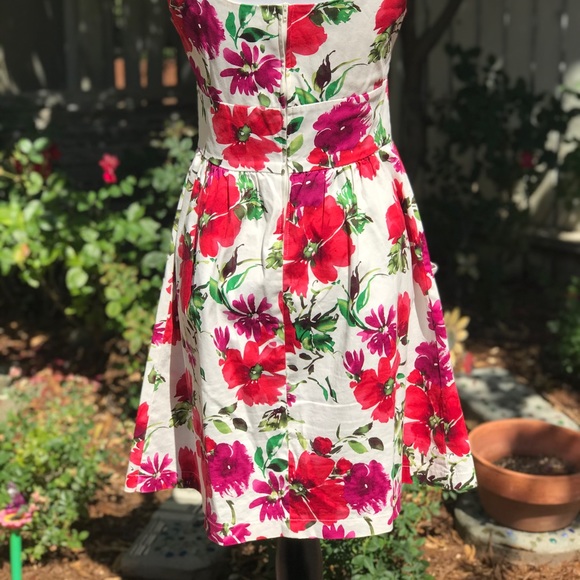 B. Smart Floral Fit and Flare - Picture 4 of 4
